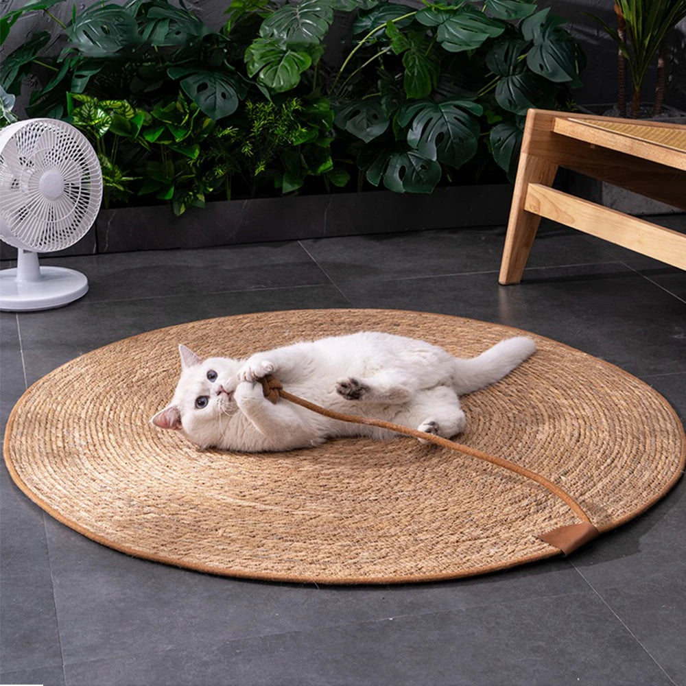 tapis chat - griffoir