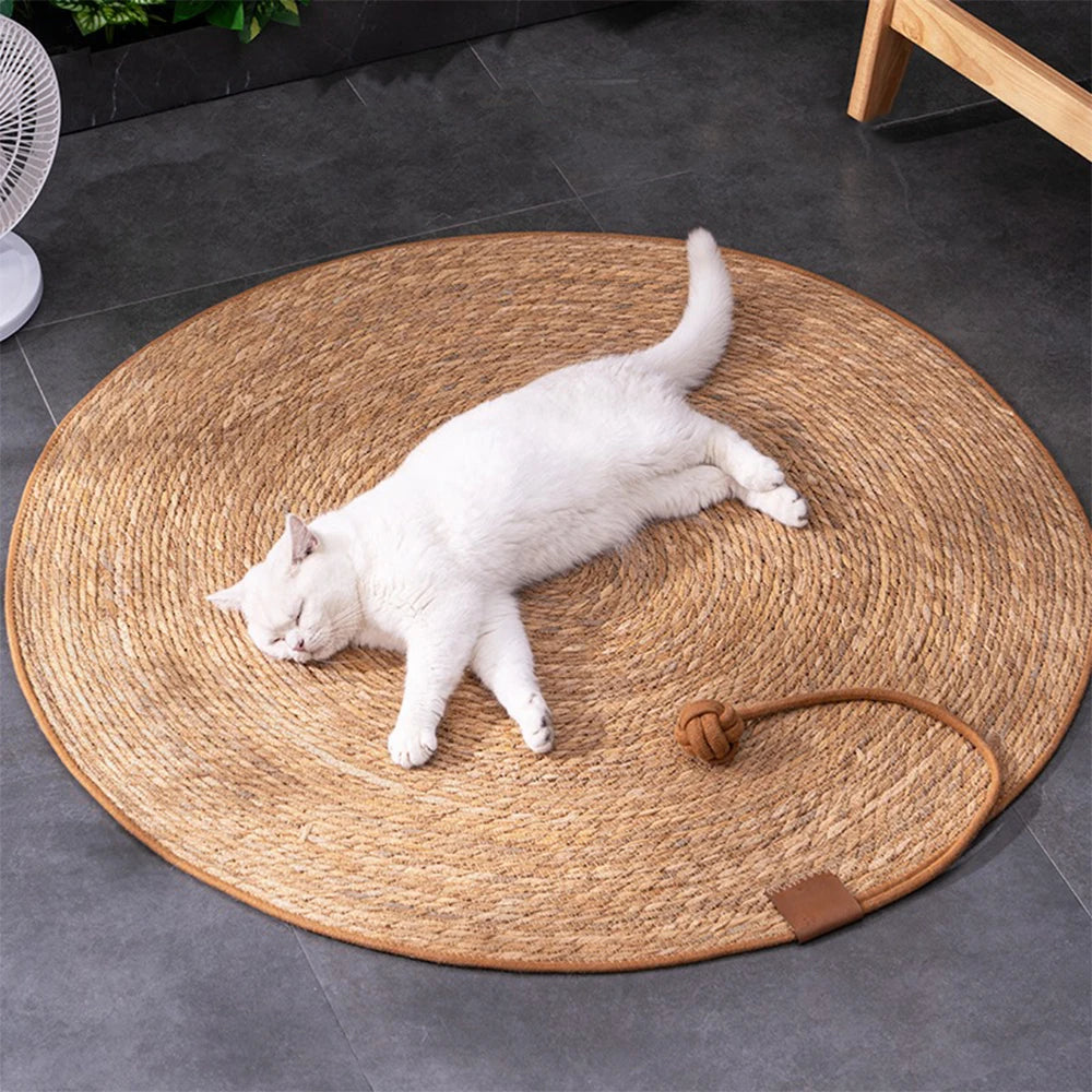 tapis chat - griffoir