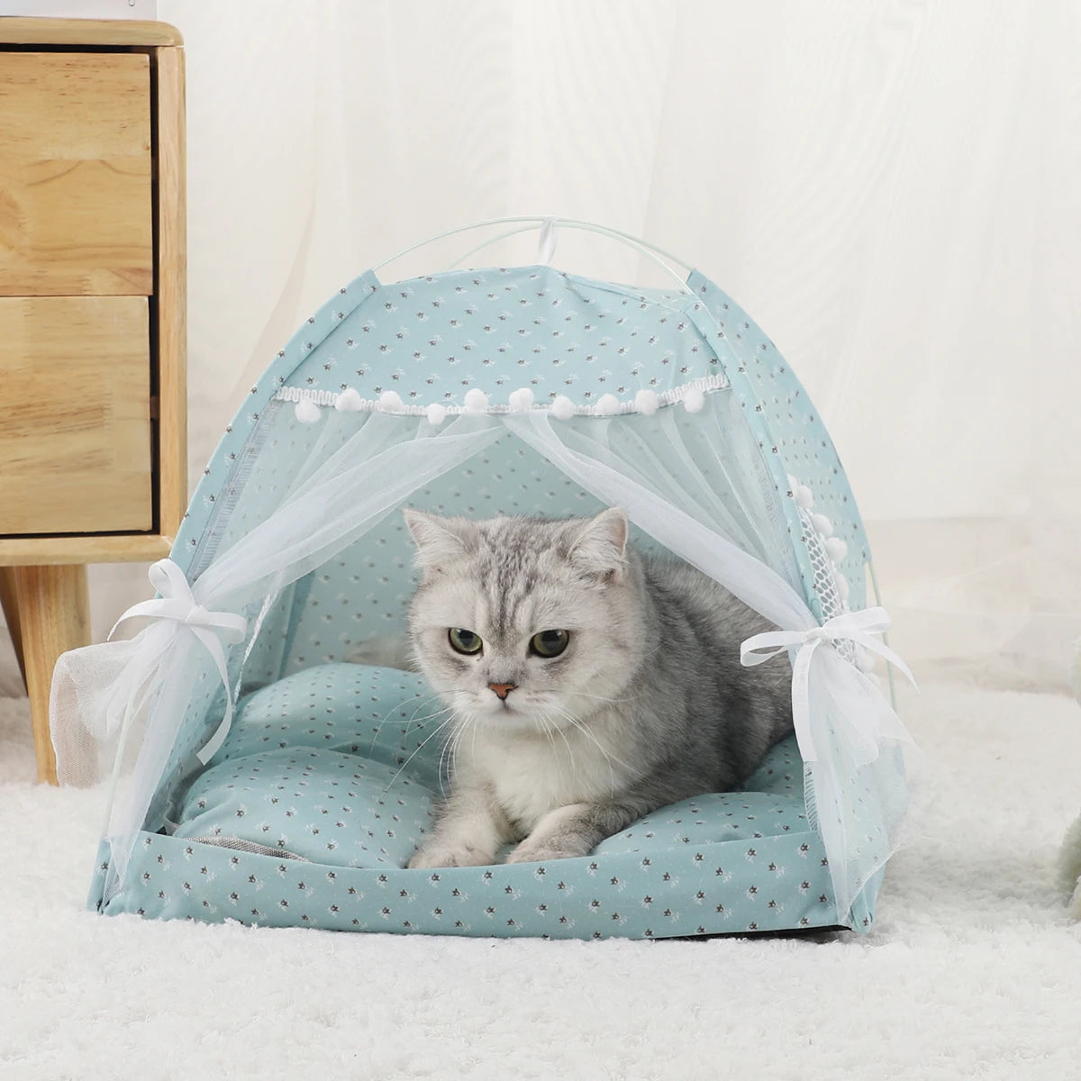 abri extérieur pour chat - tente