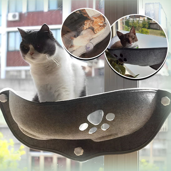 hamac pour chat | Observa™