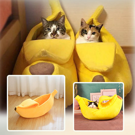 panier chat - banane