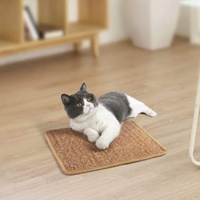 tapis chat - griffoir résistant