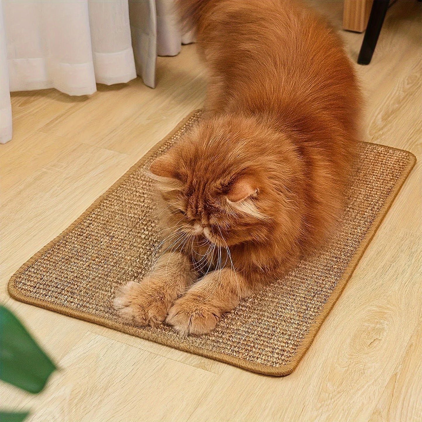 tapis chat - griffoir résistant