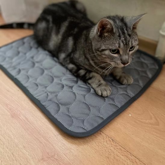 TAPIS RAFRAICHISSANT CHAT